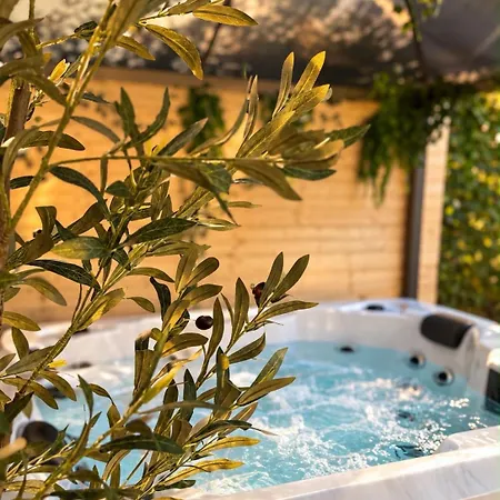 Vakantiehuis Tiny House Mit Privater Sauna, Beheizten Whirpool *
